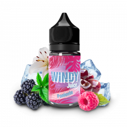 E-Tasty - concentré Windy Juice -  Poniente 30ml