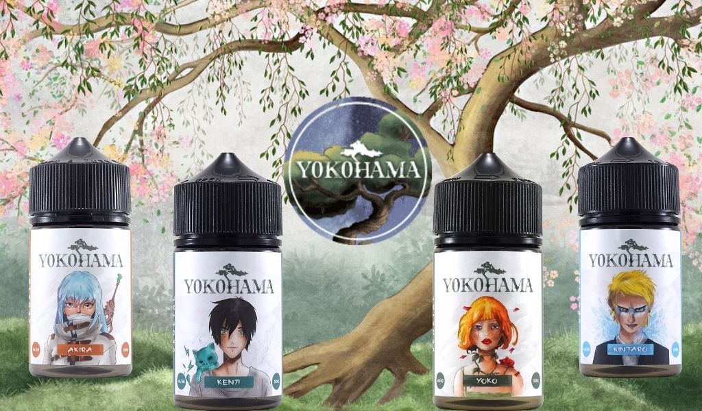 elfbar nachfüll pod läuft aus Combien coûte réellement une cigarette électronique ? main image 0