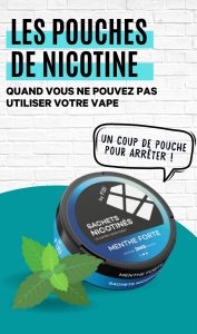 Qu'est-ce qu'un pouche de nicotine