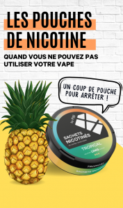 Qu'est-ce qu'un pouche de nicotine