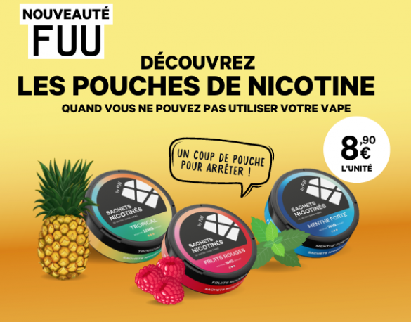 Qu'est-ce qu'un pouche de nicotine