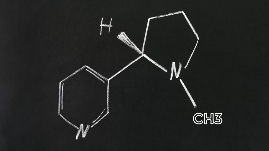 molécule sel de nicotine pour cigarette electronique
