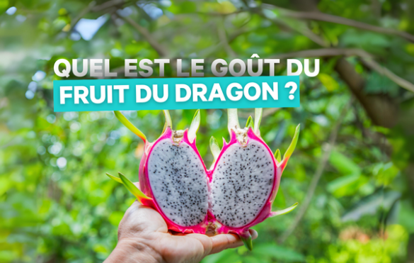 quel est le goût du fruit du dragon dans les e liquides