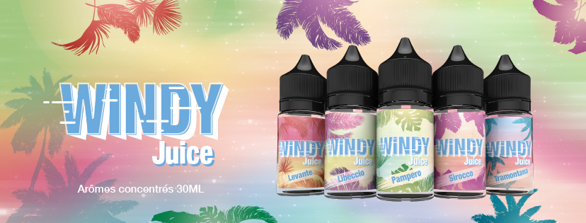 diy e liquide Windy E Tasty