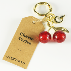Découvrez la collection de Charms de chez CIGUSTO  | Cigusto | Cigarette electronique, Eliquide
