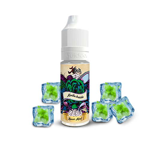 E-liquide Spear Mint Xbud 10 ml Liquideo, e-liquide Spear Mint saveur menthe fraiche | Cigusto | Cigusto | Cigarette electronique, Eliquide