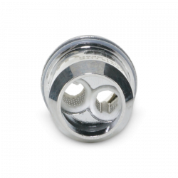 Résistances TFV16 Lite Smoktech 0,15 ou 0,2 ohm, boite de 3 résistances pour TFV16 Lite | Cigusto | Cigusto | Cigarette electronique, Eliquide