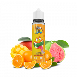 E Liquide SALOPIOT 50 ml - Liquideo