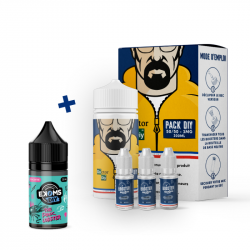 Pack DIY PUNK LOBSTER 230 ml 50/50