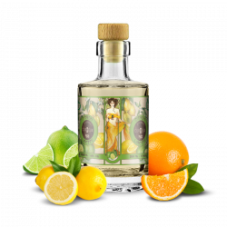 E liquide France Citron Limette 1900 200ml - CURIEUX  | Cigusto | Cigarette electronique, Eliquide