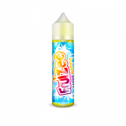E Liquide CASSIS MANGUE 50 ml - Fruizee