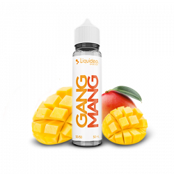 E Liquide Gang Mang Evolution Fruite  50 ML Liquideo Nicotine 0g | Cigusto | Cigarette electronique, Eliquide