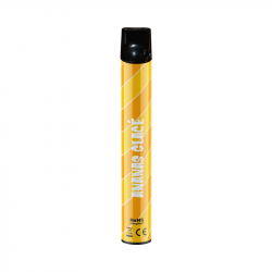 Pod Recyclable WPUFF ANANAS GLACE - Liquideo