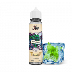 E Liquide Spear Mint Xbud 50 ML Liquideo Nicotine 0g | Cigusto | Cigarette electronique, Eliquide