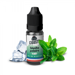 E Liquide MENTHE POLAIRE  SDN 10 ML  - Cigusto Classic