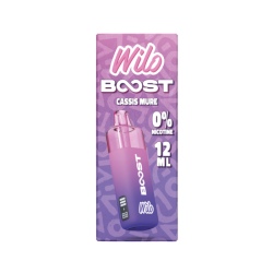 Pod WILO BOOST CASSIS MURE - Wilo