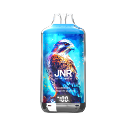 eCigarette Puff Falcon-X 28 K Blueberry Rasberry Cherry de JNR | Cigusto | Cigarette electronique, Eliquide