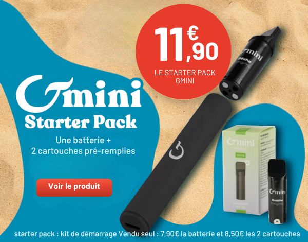 STARTER PACK GMINI INCONNUS